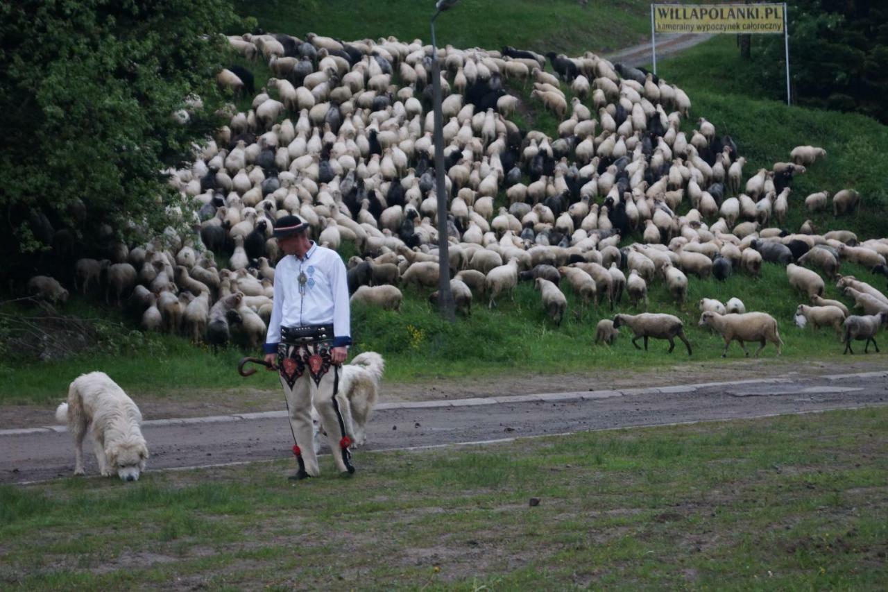 U Marii - Koninki Poręba Wielka
